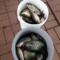Photo of fishing for White Bass in Richland-Chambers Reservoir, TX