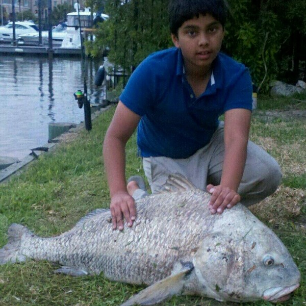 amistad fishing report 2015