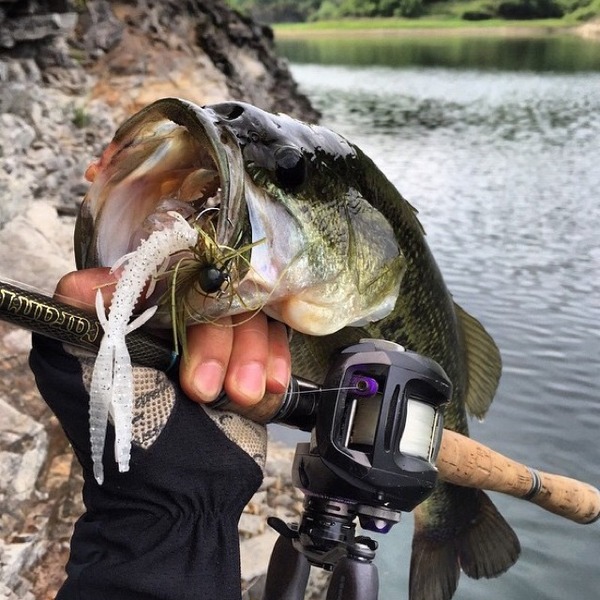 See why fishing forecast  will be trending in 2016 as well as 2015