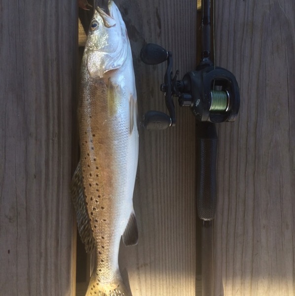 Bay St Louis Fishing Report 07/14/2017