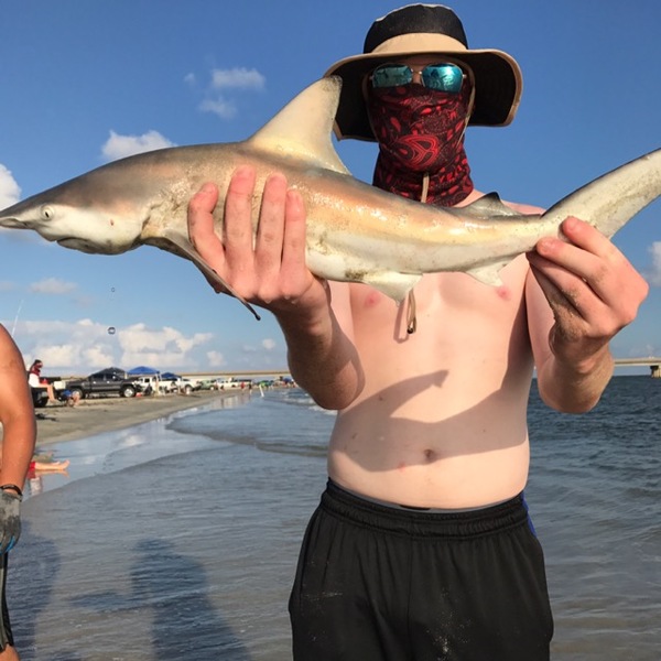 San Luis Pass Fishing Report 06/14/2017