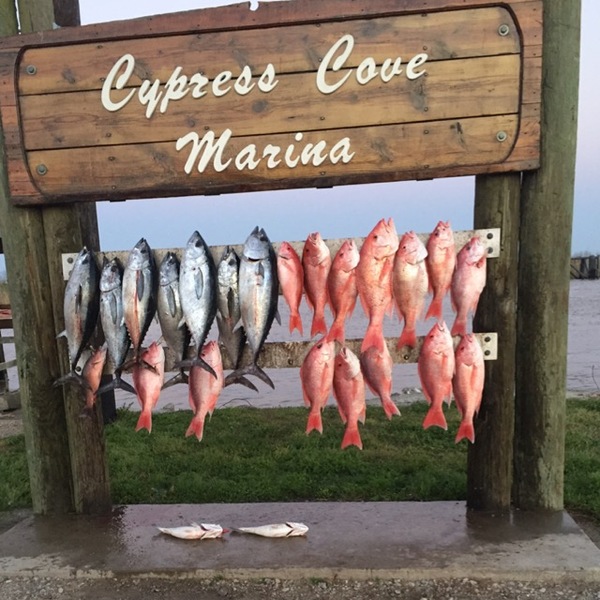Venice Fishing Report 03/19/2017