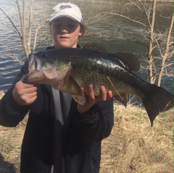 Great conowingo reservoir report image here, check it out